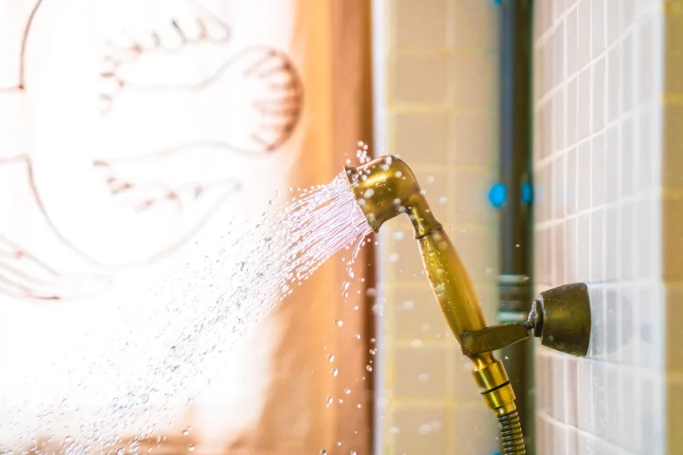 Legionella in casa: la doccia è pericolosa? Cosa sapere e come prevenirla